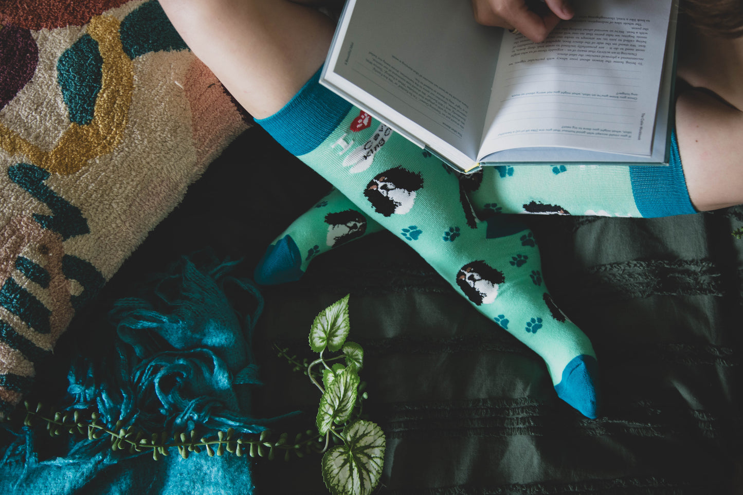 King Charles Cav Socks