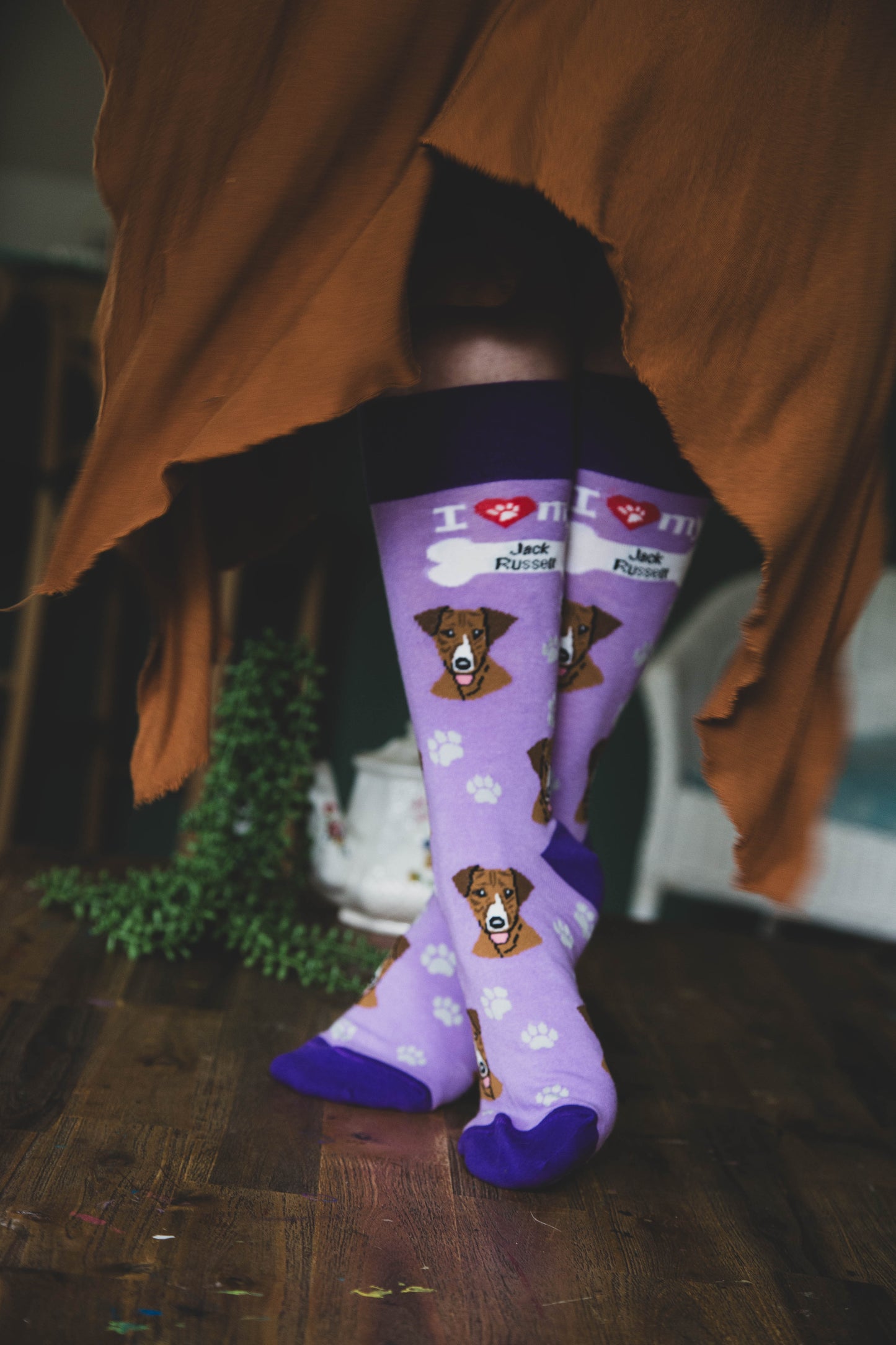 Jack Russell Socks