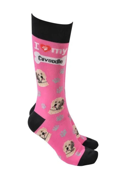 Cavoodle Socks