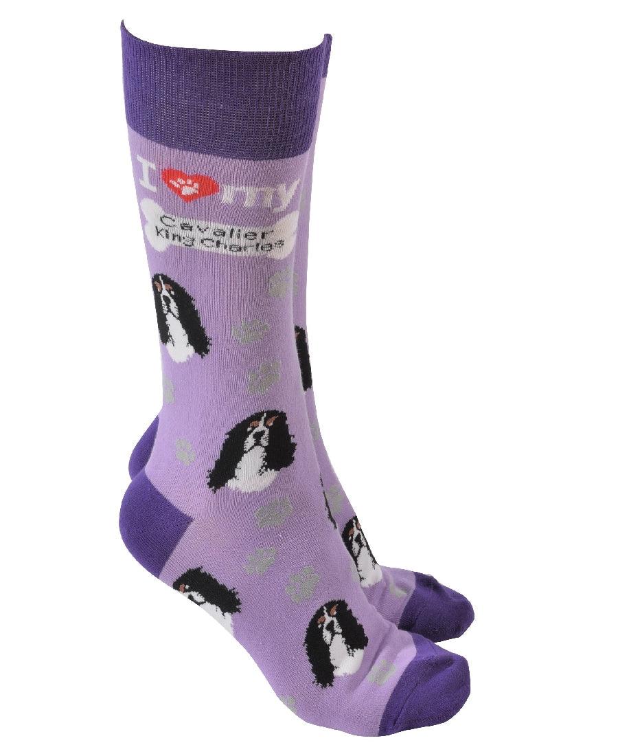 King Charles Cav Socks